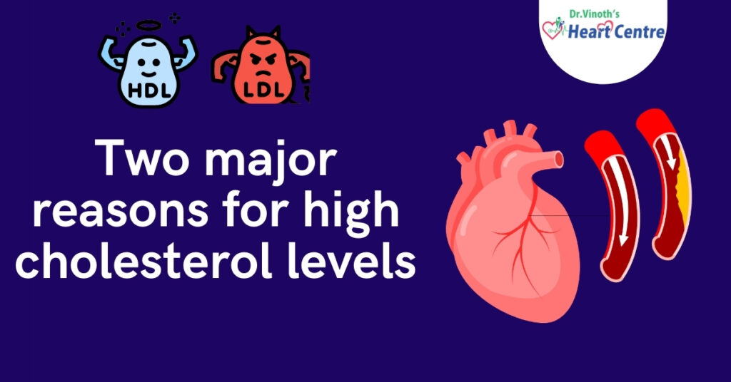 Two-major-reasons-for-high-cholesterol-levels